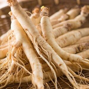 Siberian-Ginseng Siberian-Ginseng
